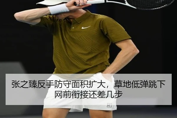 张之臻反手防守面积扩大，草地低弹跳下网前衔接还差几步